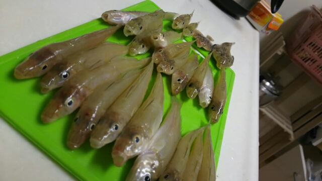 キスの食べ方 釣り好きかあちゃんの魚ブログ